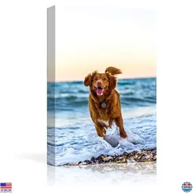 CVS-CUSTOM-PET-1901-24X16 CANVAS Personalized Prints Pets Art