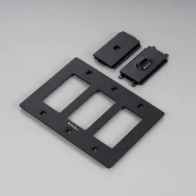 NPL-05299 BUSTER PUNCH Designer Gang Wall Switch