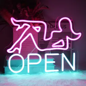 B0C6M4RCKR CKTBLEY Neon Sign Bar Led Pink Lady Wall Letter