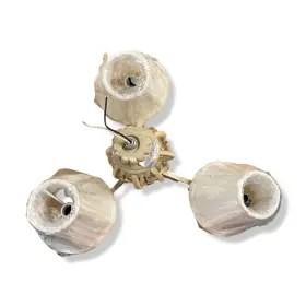 647881179878 CRAFTMADE Antoinette Ceiling Fan Lighting Kit #3