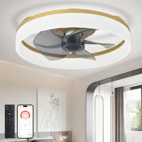 B0FGV13NL2 DINGLILIGHTING Dllt Led Ceiling Fan Light Flush