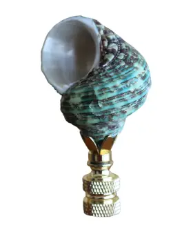 SH14 FINIAL SHOWCASE Sea Foam Turbo Chain