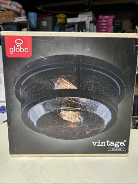 3001838 GLOBE ELECTRIC Wolfe Dimmable Fixture Natural