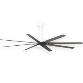 082392518905 HOME DECORATORS Cordoba Ceiling Fan Blades Set