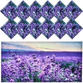 B0CB63CC9B HORTSUN Fluorescent Light Covers Magnetic