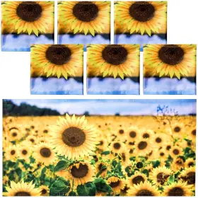 WA-HORTSUN-1587 HORTSUN Magnetic Fluorescent Light Covers