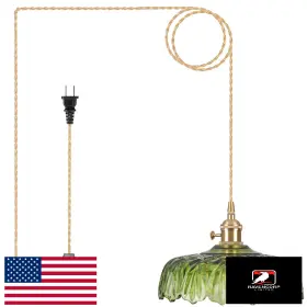 B0DXK7192F LOIOGOHOT Plug Pendant Light Fixtures Glass