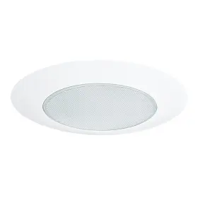 17567 NICOR Lexan Albalite Shower