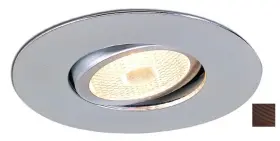 NS-12BZ NORA LIGHTING Gimbal Adj