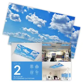 CLD-001-2X4-2PK OCTO LIGHTS Fluorescent Light Covers Office