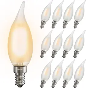 B0DRHSHSQV OWILUKIE Frosted Chandelier Led Bulbs Incandescent