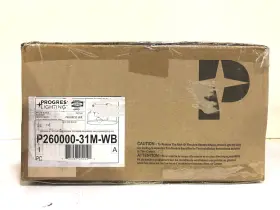P260000-31M-WB PROGRESS LIGHTING Springer Glass Light Kit