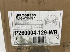 P260004-129-WB PROGRESS LIGHTING Springer Architectural Light