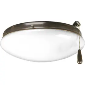P2611-20WB PROGRESS LIGHTING Light Ceiling