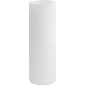 P860061-029 PROGRESS LIGHTING Elara Glass Shade