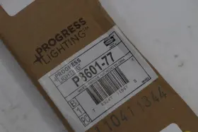 P8601-77 PROGRESS LIGHTING Stem Extension Forged Kit #2