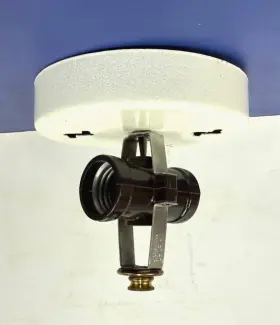 103125 PURITAN Ceiling Fixture Holder Glass Shades