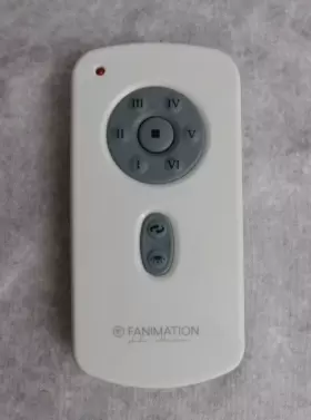 RH787T RHINE Remote Control Fanimation Slinger Ceiling Fan