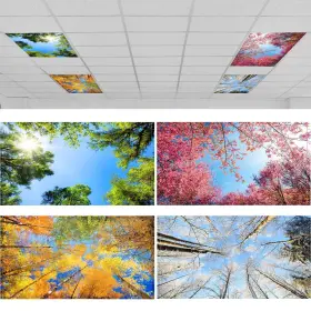 YOJ-ROCEEI-159 ROCEEI Pack Fluorescent Light Covers Ceiling
