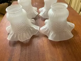 81244 STANDARD Set Frosted Tulips Skirt Fan Fitter Glass