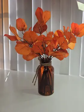 3D-EUCA-VASE VISIT THE BESSOL STORE Eucalyptus Stems Glass