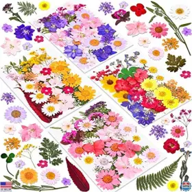 B08T19P4QS VISIT THE CRUZIX STORE Dried Flowers Scrapbooking