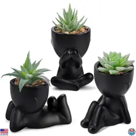 B0BZ8DZV6D VISIT THE DER ROSE STORE Artificial Succulent