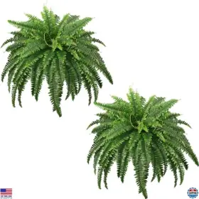 B0DLK125TF VISIT THE FOREST PRINCE STORE Realistic Artificial