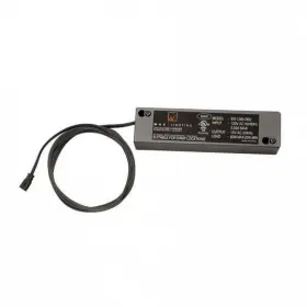 B004EW5RRQ WAC LIGHTING Remote Enclosed