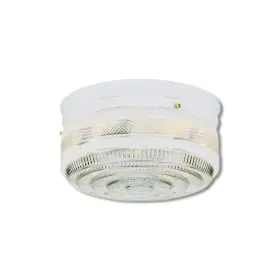 66238 WESTINGHOUSE Ceiling Light