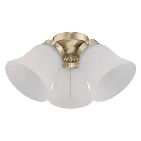 7784500 WESTINGHOUSE Light Kit