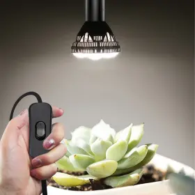 700512734218 ZARNICY Plug Light Socket Pendant Lantern Cord #3