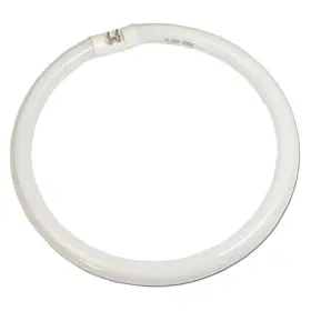 LT6MNT0001G ZORO SELECT Lamp