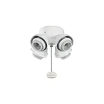 4 Light Led Fan Kit Free Shipping. Fixed Price $50.00.