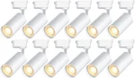 Dimmable Ultra-bright Led Track Lighting Heads, 12pcs 6000k 20w 2400lm. Fixed Price $164.99.