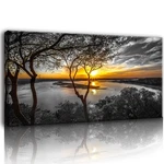 Black And White Canvas Wall Art Bedroom Lake Tree Print Forest Gold Sunse.... Fixed Price $86.27.