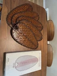 Fanimation Isd4a Antique 22"w Oval Bamboo Blades For 52" Ceiling Fans Set Of 5. Fixed Price $175.00.