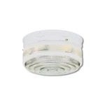 Westinghouse 5-1/4 In X 10-3/4 10.75 Ceiling Light. Fixed Price $56.99.