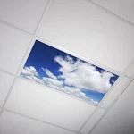 Octo Lights - Fluorescent Light Covers Classroom, Office, Home Cloud 019. Fixed Price $34.99.
