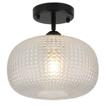 Wilon Glass Flush Mount Ceiling Light Globe Black Fixture Moder.... Fixed Price $56.23.