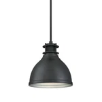 Westinghouse 6326800 1 Light 9-13/16"w Mini Pendant - Matte Brushed Gunmetal. Fixed Price $70.56.