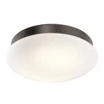 Kichler Ried Led Fan Light Kit, Anvil Iron - 380356avi. Fixed Price $144.97.
