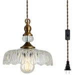 Cvkash Brass Vintage Glass Pendant Light Fixture, Adjustable Chandelier B. Fixed Price $70.00.