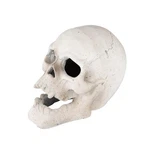 Stanbroil Fire Pits 9" Imitated Human Skull Decoration For Indoors Outdoors C.... Fixed Price $60.94.