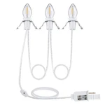 Twdrtdd Accessory Cord With 3 Led Light Bulbs,6ft Blow Mold 6ft, White. Fixed Price $20.16.