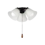 Oil Rubbed Bronze Led Ceiling Fan Light Kit From The Kits Collection. Fixed Price $86.00.