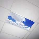 Octo Lights - Fluorescent Light Covers School, Office, Home Cloud 005. Fixed Price $34.99.