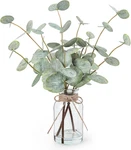 Bessol Artificial Eucalyptus Stems In Glass Vase With Faux Water, 13.5" Fake. Fixed Price $26.54.