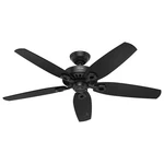 Hunter 52 Inch Outdoor Or Indoor Ceiling Fan No Light With Pull Chain - Black.... Fixed Price $325.92.