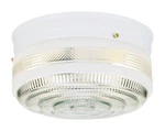 Westinghouse 5-1/4 In. H X 10-3/4 W 10.75 L Ceiling Light. Fixed Price $45.99.
